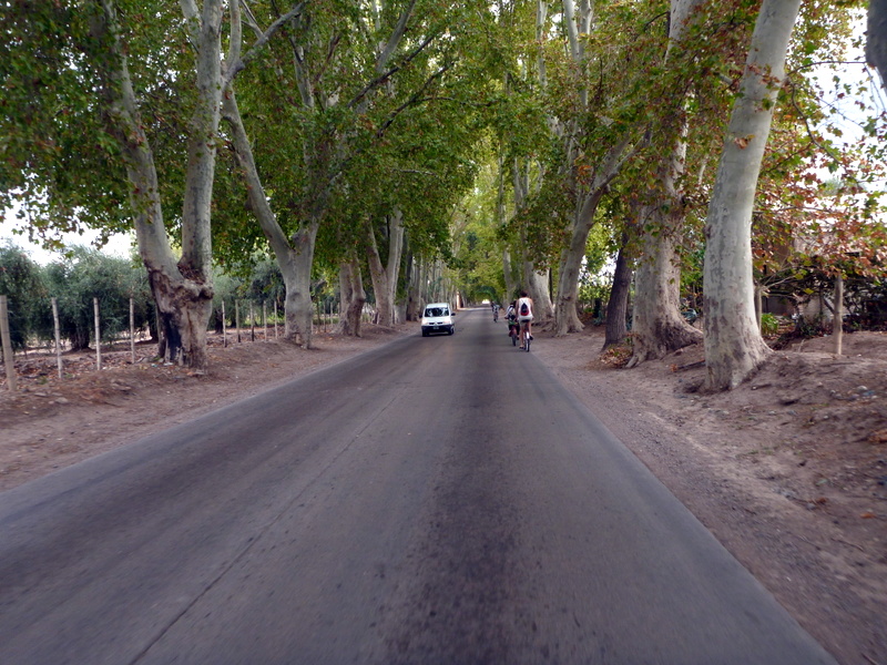 The wine road of Mendoza