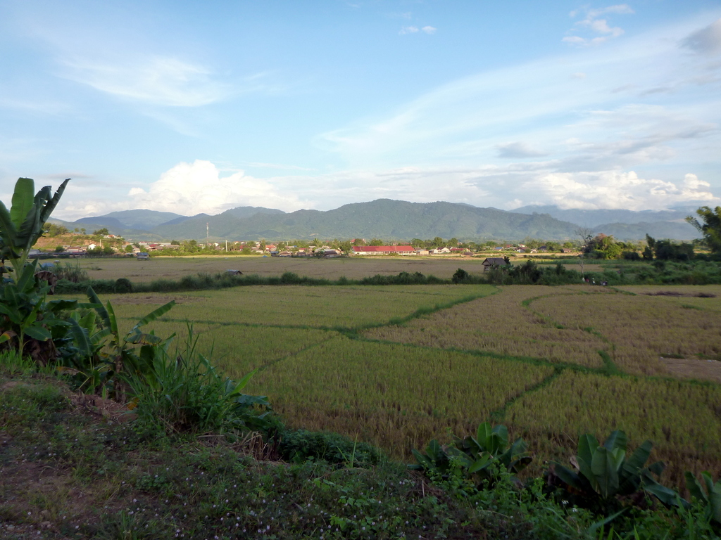 Luang Namtha Farms