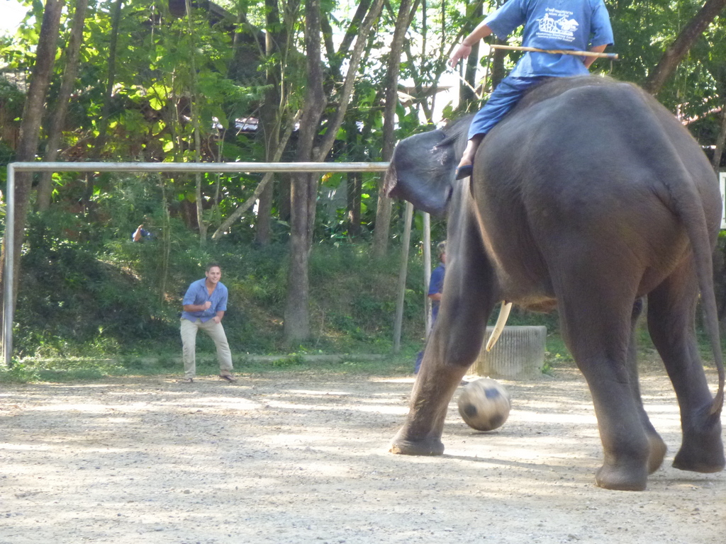 Soccer with an Elephant